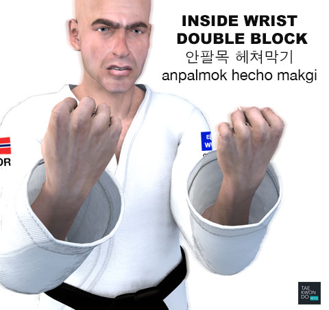 Inside Wrist Double Block ( 안팔목 헤쳐막기 anpalmok hecho makgi )