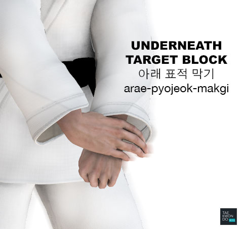 Underneath Target Block ( 아래 표적 막기 arae-pyojeok-makgi )