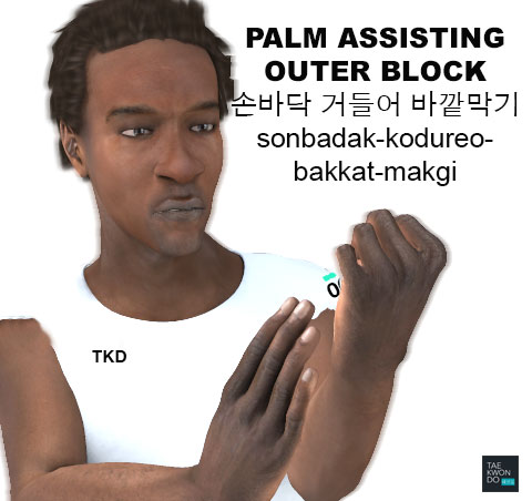 Palm Assisting Outer Block ( 손바닥 거들어 바깥막기 sonbadak-kodureo-bakkat-makgi )