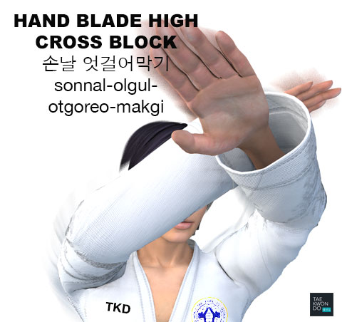 Hand Blade High Cross Block ( 손날 엇걸어막기 sonnal olgul otgoreo makgi )