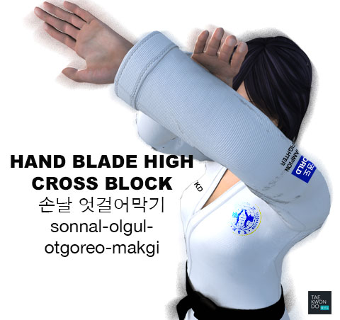 Hand Blade High Cross Block ( 손날 엇걸어막기 sonnal olgul otgoreo makgi )