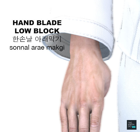 Hand Blade Low Block ( 한손날 아래막기 sonnal arae makgi )