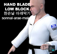 Hand Blade Low Block ( 한손날 아래막기 sonnal-arae-makgi )