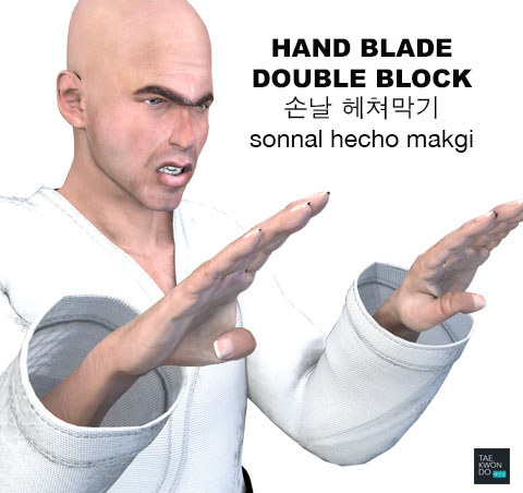 Hand Blade Double Block ( 손날 헤쳐막기 sonnal hecho makgi )