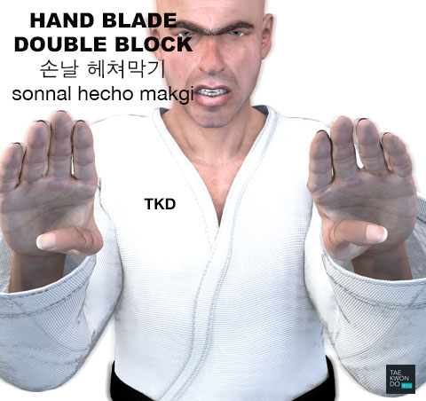 Hand Blade Double Block ( 손날 헤쳐막기 sonnal hecho makgi )