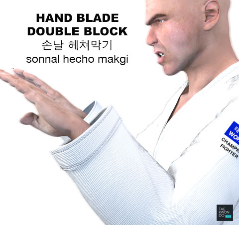 Hand Blade Double Block ( 손날 헤쳐막기 sonnal hecho makgi )