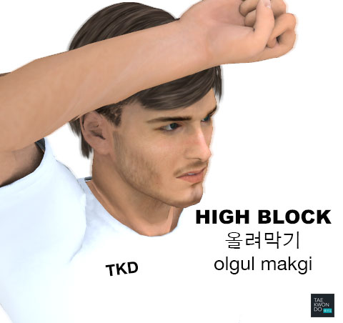 High Block ( 올려막기 olgul makgi )