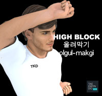 High Block ( 올려막기 olgul-makgi )