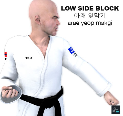 Low Side Block ( 아래 옆막기 arae-yeop-makgi )