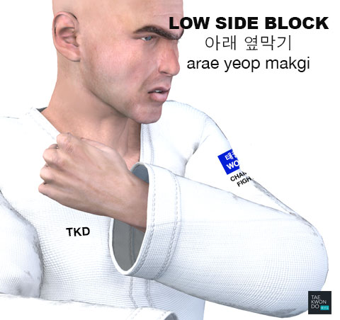 Low Side Block ( 아래 옆막기 arae-yeop-makgi )