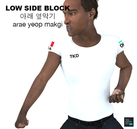 Low Side Block ( 아래 옆막기 arae-yeop-makgi )