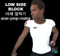 Low Side Block ( 아래 옆막기 arae-yeop-makgi )