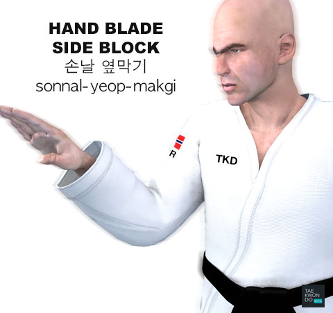 Hand Blade Side Block ( 손날 옆막기 sonnal-yeop-makgi )