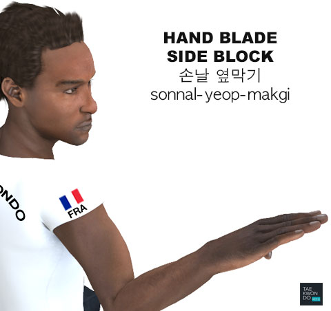 Hand Blade Side Block ( 손날 옆막기 sonnal-yeop-makgi )