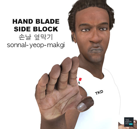 Hand Blade Side Block ( 손날 옆막기 sonnal-yeop-makgi )