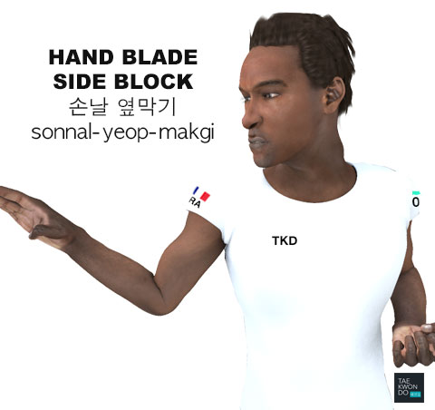 Hand Blade Side Block ( 손날 옆막기 sonnal-yeop-makgi )