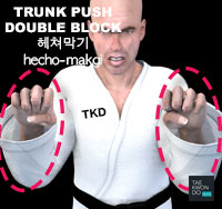 Trunk Push Double Block ( 헤쳐막기 hecho-makgi )