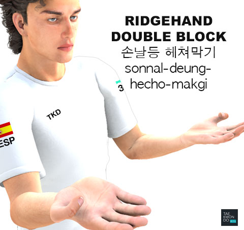 Ridgehand Double Block ( 손날등 헤쳐막기 sonnal-deung-hecho-makgi )