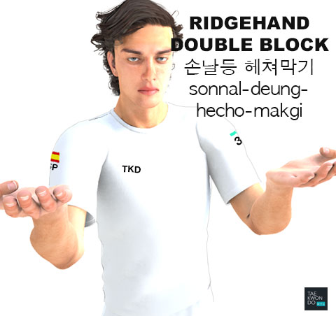 Ridgehand Double Block ( 손날등 헤쳐막기 sonnal-deung-hecho-makgi )