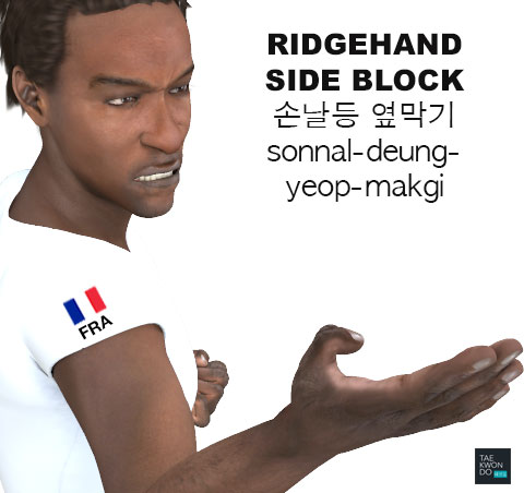 Ridgehand Side Block ( 손날등 옆막기 sonnal-deung-yeop-makgi )