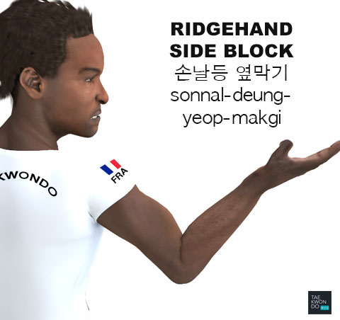 Ridgehand Side Block ( 손날등 옆막기 sonnal-deung-yeop-makgi )