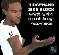 Ridgehand Side Block ( 손날등 옆막기 sonnal-deung-yeop-makgi )