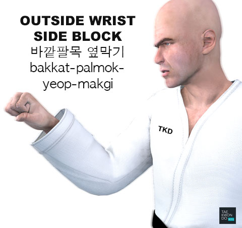 Outside Wrist Side Block ( 바깥팔목 옆막기 bakkat-palmok-yeop-makgi )