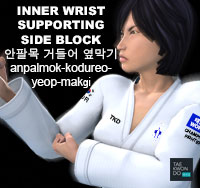 Inner Wrist Supporting Side Block ( 안팔목 거들어 옆막기 anpalmok-kodureo-yeop-makgi )