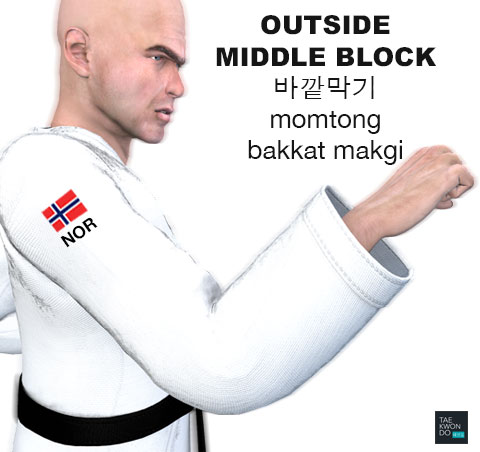 Outside Block ( 바깥막기 momtong bakkat makgi )