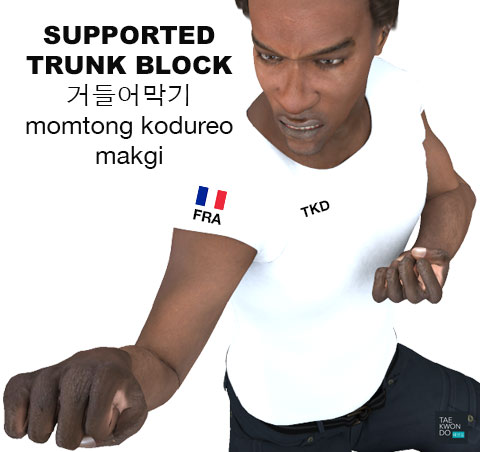 Supported Trunk Block ( 거들어막기 momtong-kodureo-makgi )