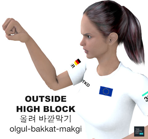 High Outside Block ( 올려 바깥막기 olgul-bakkat-makgi )