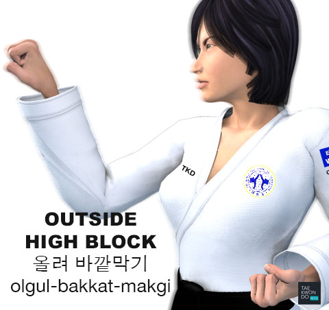 High Outside Block (올려 바깥막기 olgul bakkat makgi)