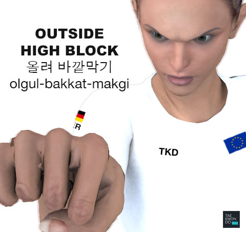 High Outside Block (올려 바깥막기 olgul bakkat makgi)