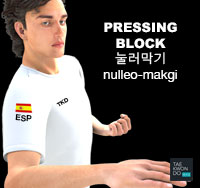 Pressing Block ( 눌러막기 nulleo-makgi )