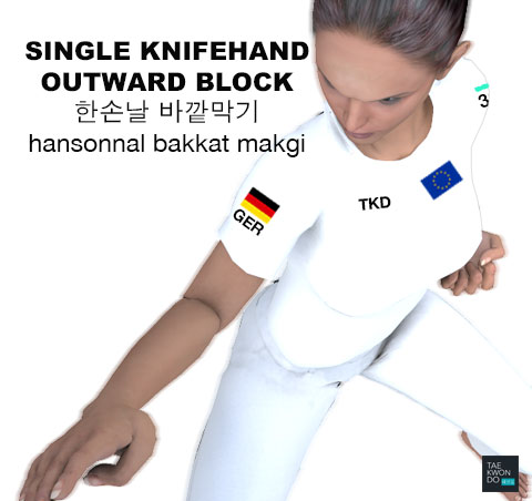 Single Knife Hand Outward Block ( 한손날 바깥막기 hansonnal bakkat makgi )