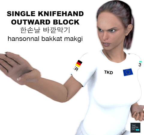 Single Knife Hand Outward Block ( 한손날 바깥막기 hansonnal bakkat makgi )