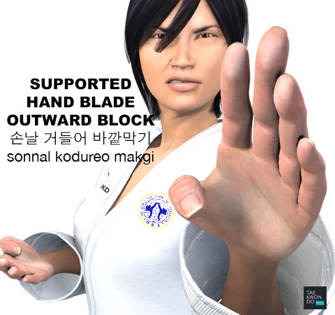 Supported Hand Blade Outward Block ( 손날 거들어 바깥막기 sonnal-kodureo-makgi )