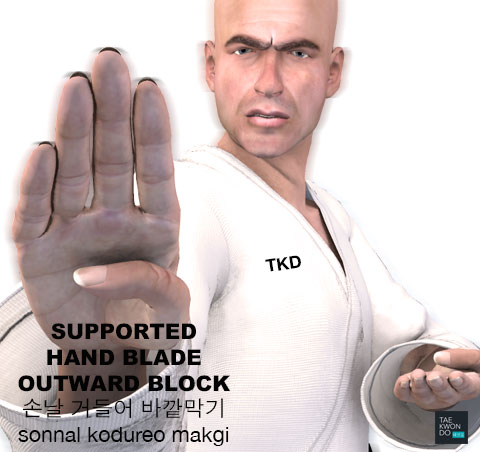 Supported Hand Blade Outward Block ( 손날 거들어 바깥막기 sonnal kodureo makgi )