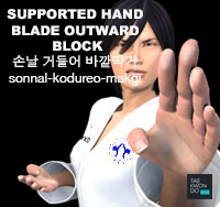 Supported Hand Blade Outward Block ( 손날 거들어 바깥막기 sonnal-kodureo-makgi )