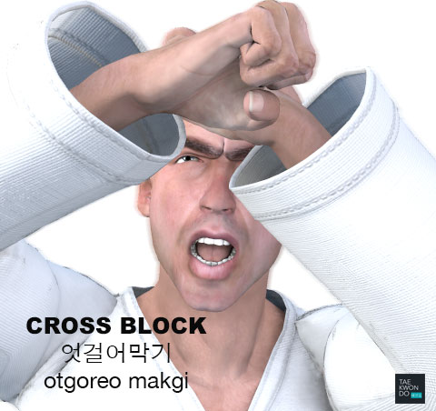 Cross Block ( 엇걸어막기 otgoreo makgi )