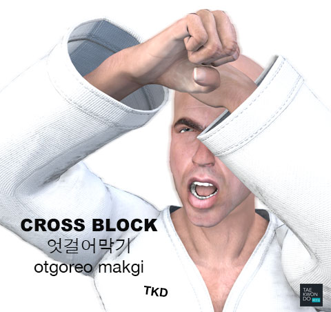 Cross Block ( 엇걸어막기 otgoreo makgi )