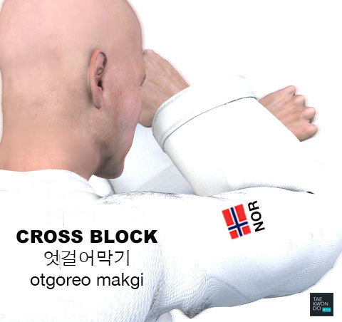 Cross Block ( 엇걸어막기 otgoreo makgi )