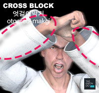 Cross Block ( 엇걸어막기 otgoreo-makgi )