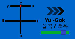 Yul-Gok 율곡 / 栗谷 ( 5th geup ) | International Taekwondo Federation (ITF) Poomse