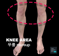 Knee ( 무릎 mureup )