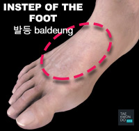 Instep of the Foot ( 발등 baldeung )