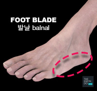 Foot Blade ( 발날 balnal )