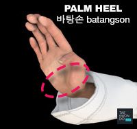 Palm Heel ( 바탕손 batangson )