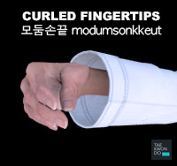 Curled Fingertips ( 모둠손끝 modumsonkkeut )