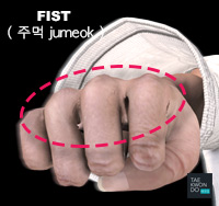 Fist ( 주먹 jumeok )